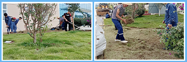 1600744334530117.jpg P圖-二框.jpg