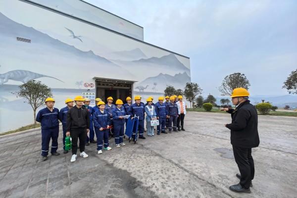 1732245124694344.jpg 5.jpg