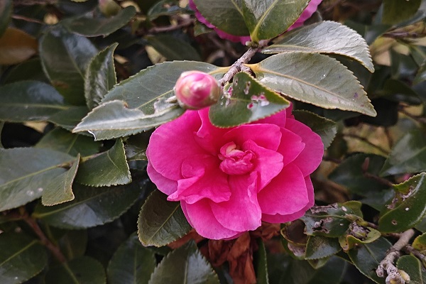 1765952803302088.jpg 處理圖.jpg